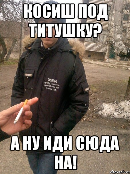 косиш под титушку? а ну иди сюда на!