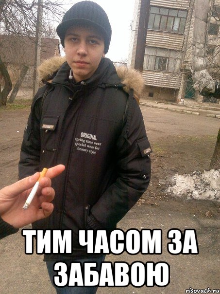  тим часом за Забавою, Мем мурчик