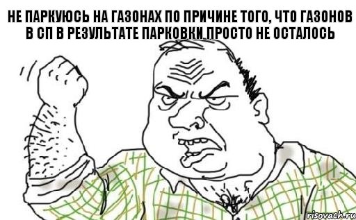 Не паркуюсь на газонах по причине того, что газонов в СП в результате парковки просто не осталось, Комикс Мужик блеать