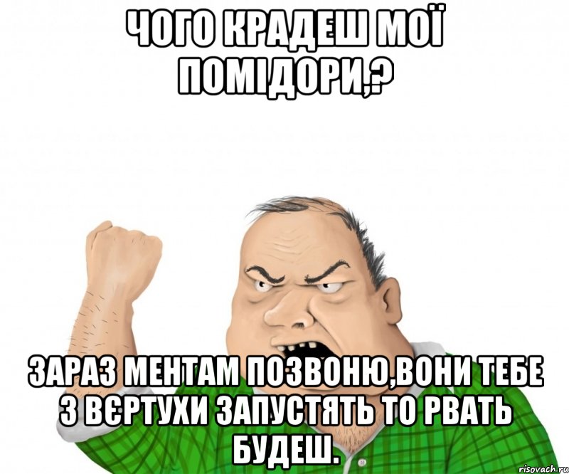 Чого крадеш мої помідори,? Зараз ментам позвоню,вони тебе з вєртухи запустять то рвать будеш., Мем мужик