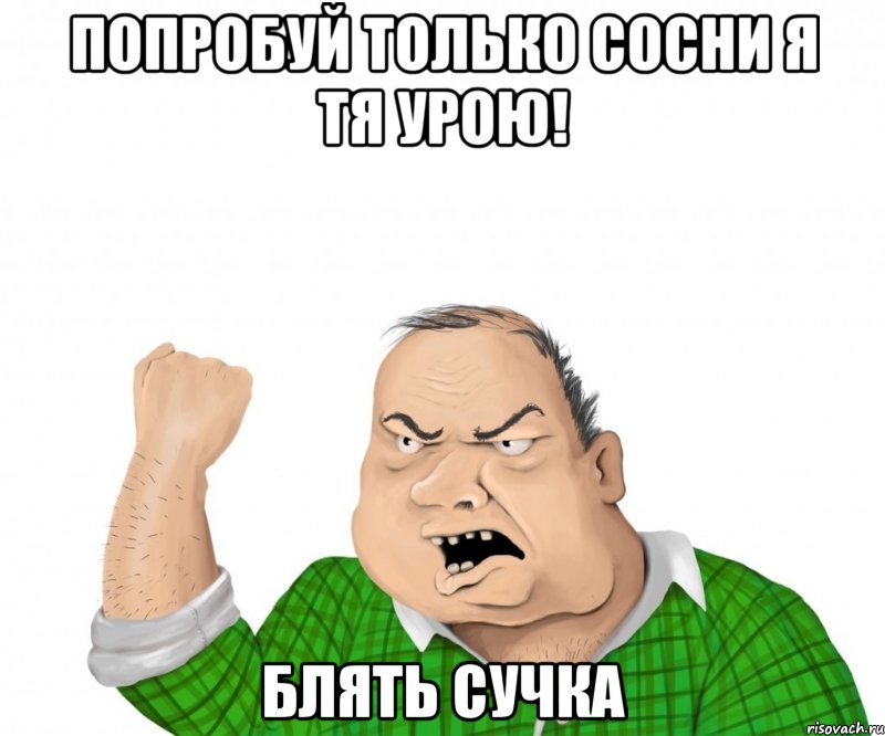 ПОПРОБУЙ ТОЛЬКО СОСНИ Я ТЯ УРОЮ! БЛЯТЬ СУЧКА, Мем мужик