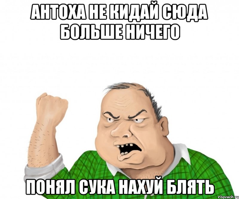 Антоха не кидай сюда больше ничего Понял сука нахуй блять, Мем мужик