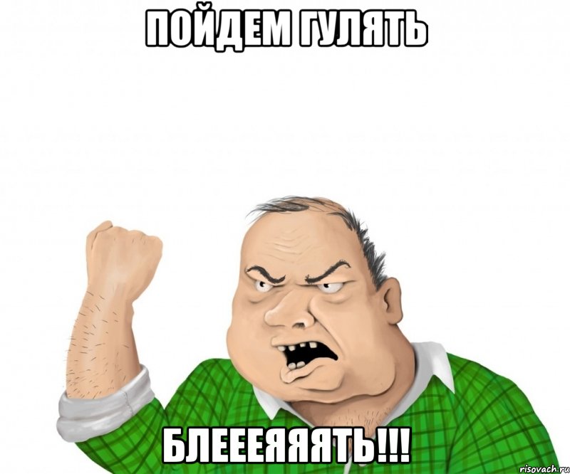 пойдем гулять блеееяяять!!!, Мем мужик