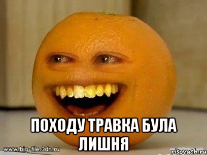  Походу травка була лишня, Мем Надоедливый апельсин