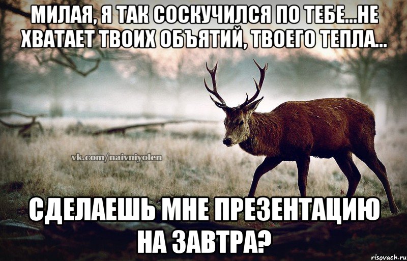 Милая, я так соскучился по тебе...не хватает твоих объятий, твоего тепла... сделаешь мне презентацию на завтра?