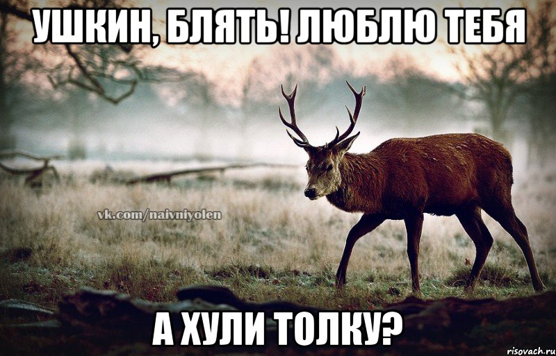 Ушкин, блять! Люблю тебя а хули толку?