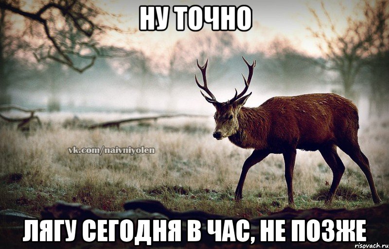 ну точно лягу сегодня в час, не позже, Мем naivehole