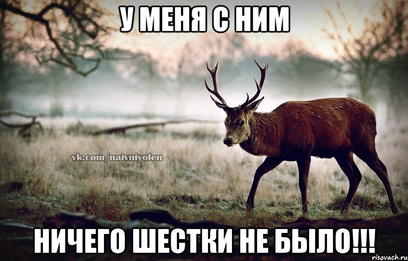 У меня с ним Ничего шестки не было!!!