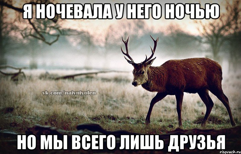 Я ночевала у него ночью Но мы всего лишь друзья, Мем naivehole