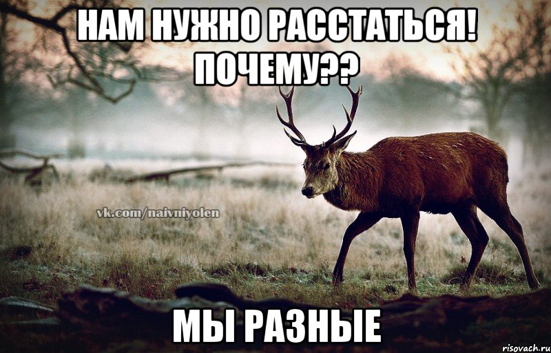 нам нужно расстаться! почему?? мы разные, Мем naivehole