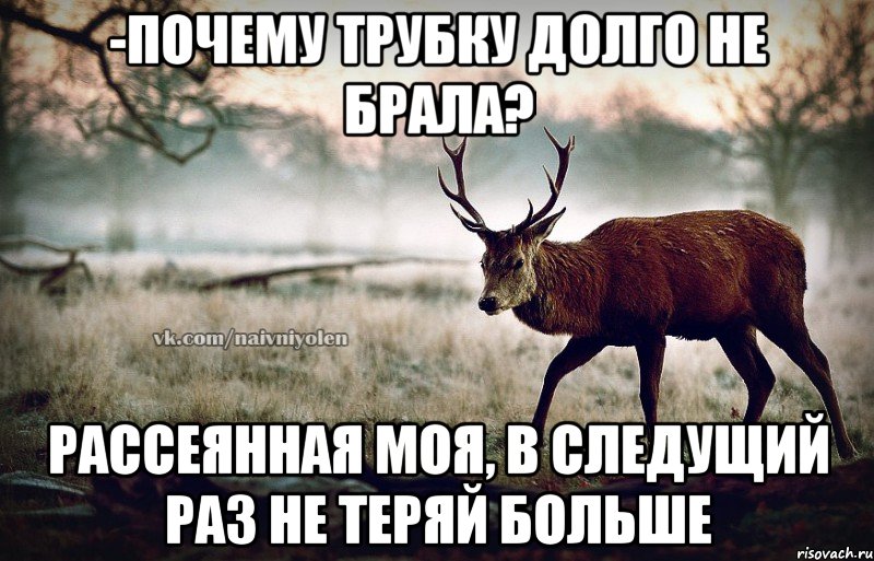 -почему трубку долго не брала? рассеянная моя, в следущий раз не теряй больше, Мем naivehole