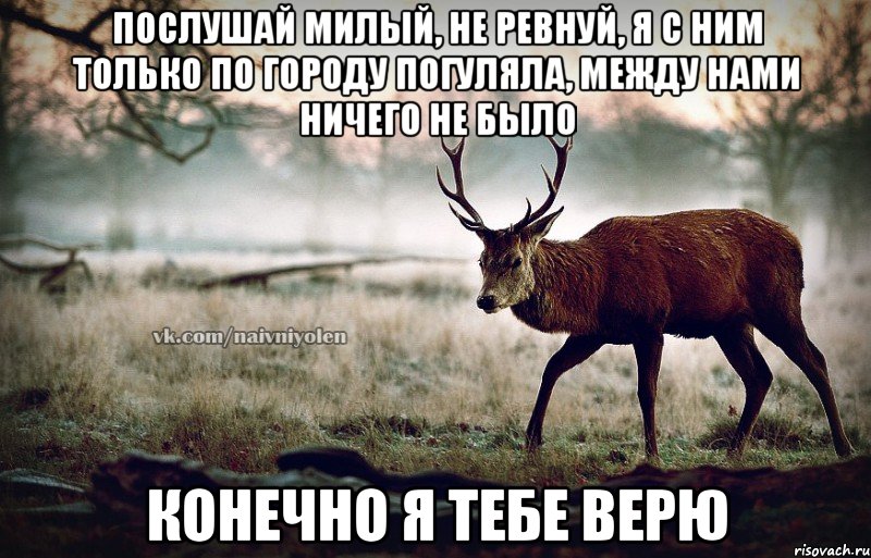 Послушай милый, не ревнуй, я с ним только по городу погуляла, между нами ничего не было Конечно я тебе верю, Мем naivehole