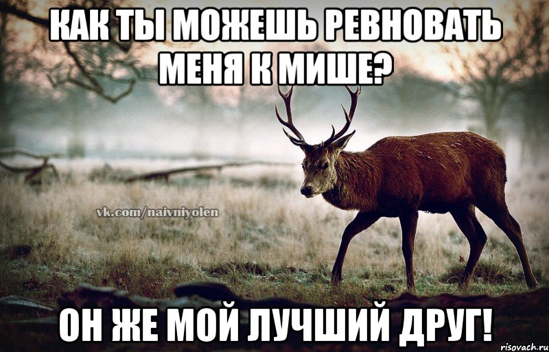 Как ты можешь ревновать меня к Мише? Он же мой лучший друг!, Мем naivehole