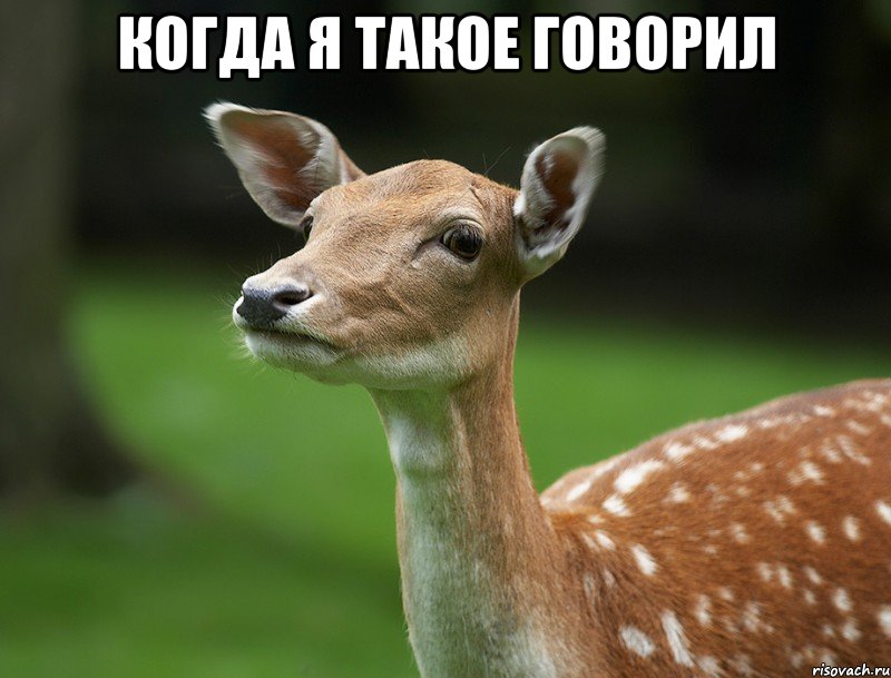 Когда я такое говорил 
