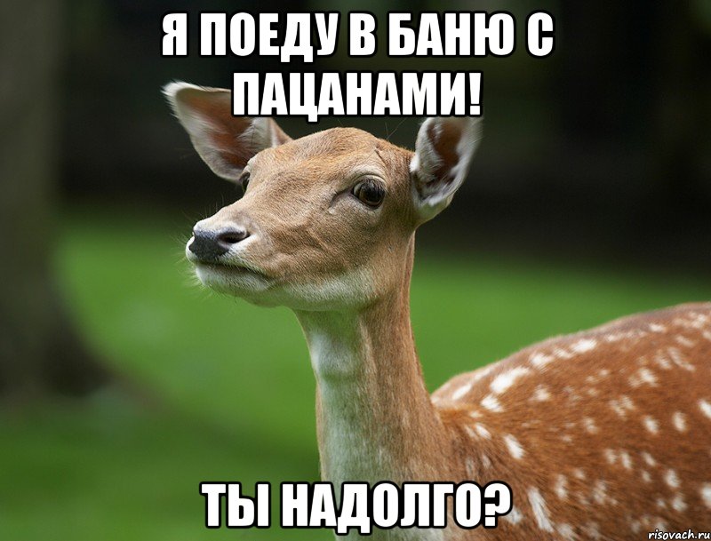 Я поеду в баню с пацанами! ты надолго?