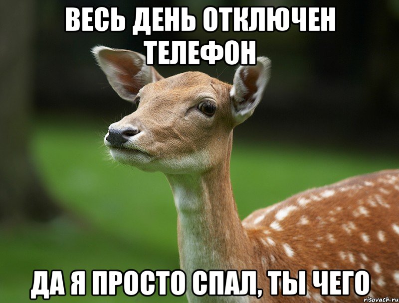 Весь день отключен телефон да я просто спал, ты чего