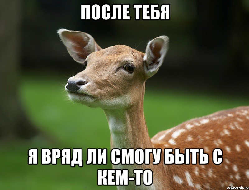 После тебя я вряд ли смогу быть с кем-то