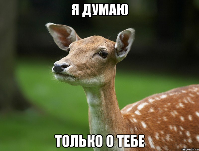 я думаю только о тебе