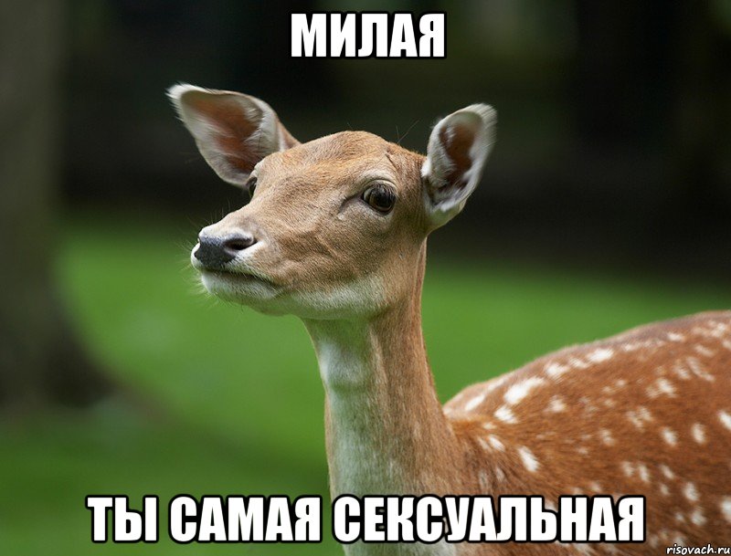 Милая ты самая сексуальная