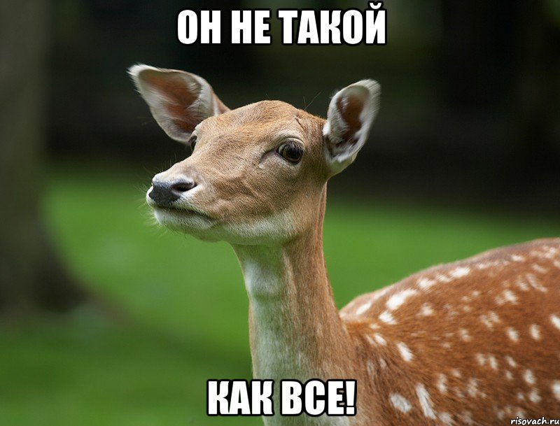 Он не такой Как все!