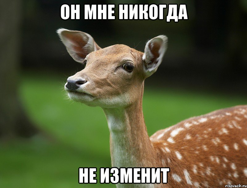 Он мне никогда не изменит