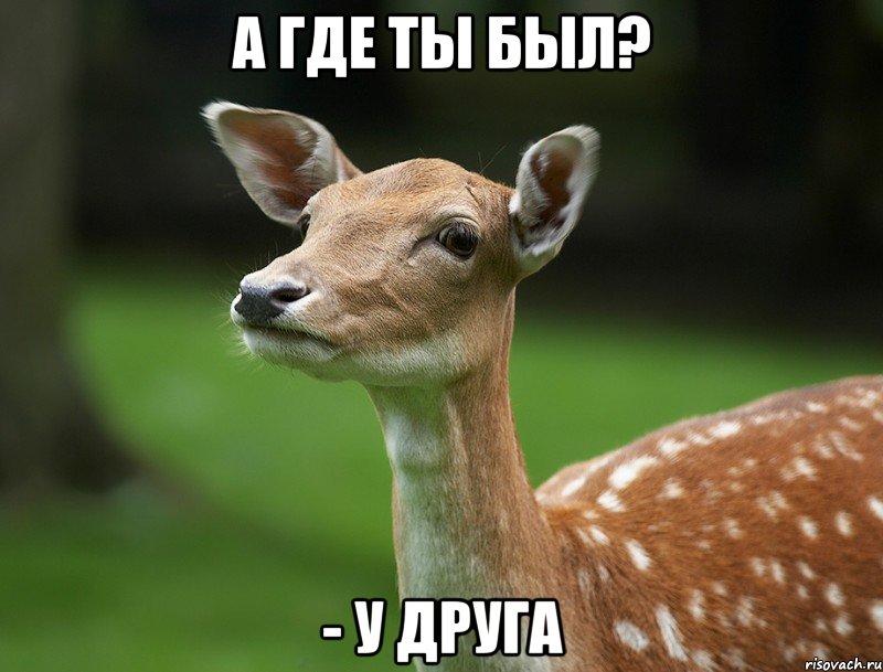 А где ты был? - у друга
