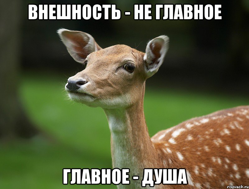 внешность - не главное главное - душа