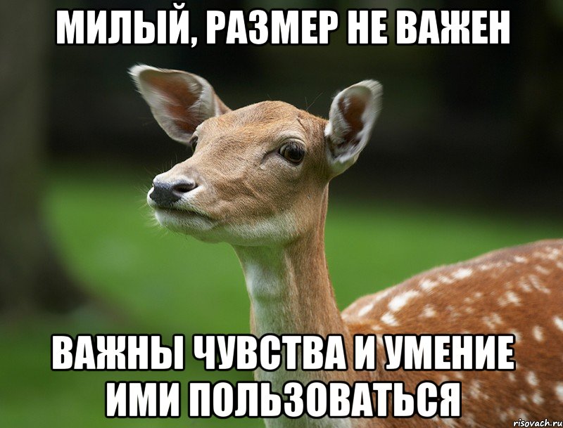 милый, размер не важен важны чувства и умение ими пользоваться