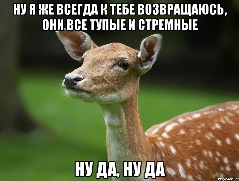 ну я же всегда к тебе возвращаюсь, они все тупые и стремные ну да, ну да