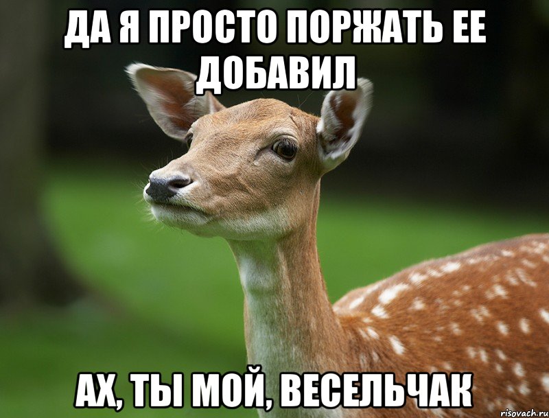 да я просто поржать ее добавил ах, ты мой, весельчак