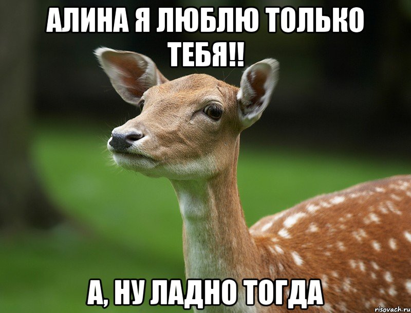 Алина я люблю только тебя!! А, ну ладно тогда