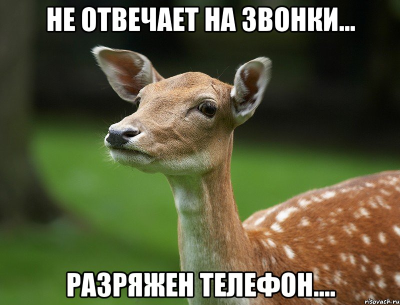 Не отвечает на звонки... Разряжен телефон....