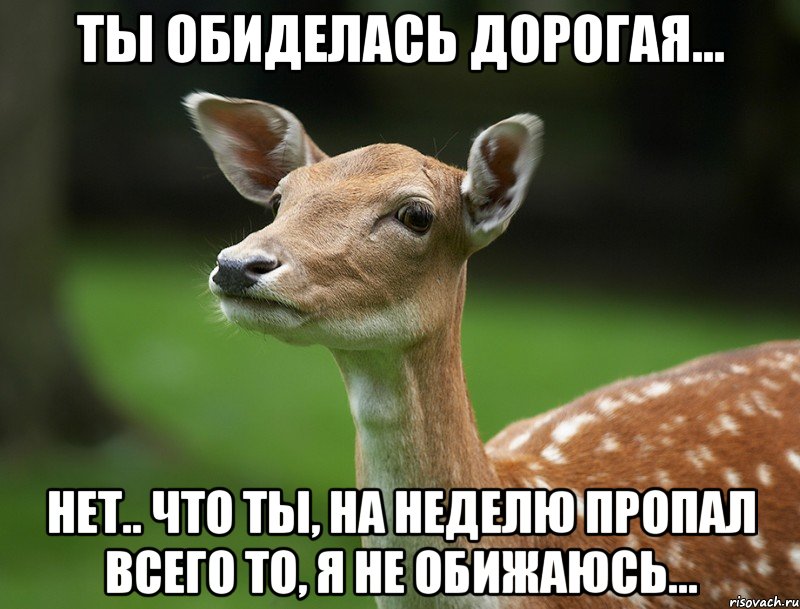 Ты обиделась дорогая... Нет.. что ты, на неделю пропал всего то, я не обижаюсь...