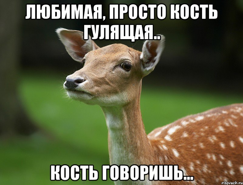 Любимая, просто кость гулящая.. кость говоришь...