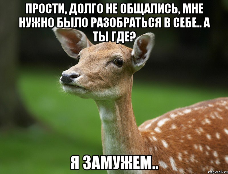 Прости, долго не общались, мне нужно было разобраться в себе.. а ты где? Я замужем..