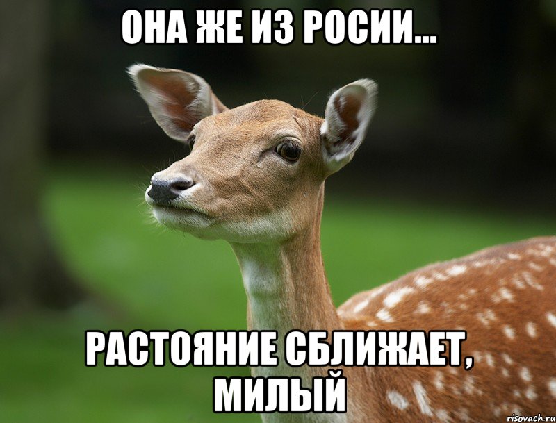 Она же из Росии... Растояние сближает, милый
