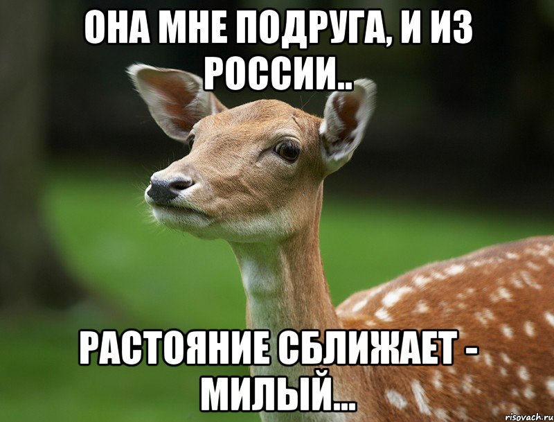 Она мне подруга, и из России.. Растояние сближает - милый...