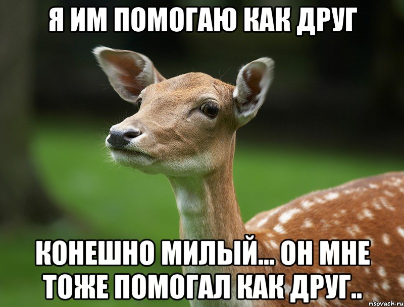 Я им помогаю как друг Конешно милый... он мне тоже помогал как друг..