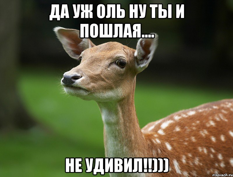 да уж Оль ну ты и пошлая.... не удивил!!)))
