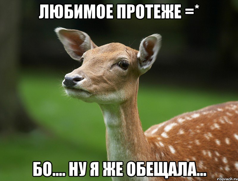 Любимое протеже =* БО.... ну я же обещала...