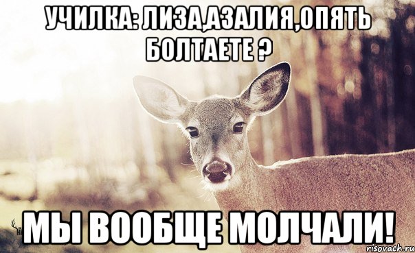 Училка: Лиза,Азалия,опять болтаете ? Мы вообще молчали!, Мем  Наивная олениха