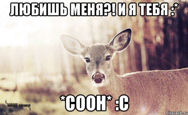 Любишь меня?! И я тебя :* *СООН* :С, Мем  Наивная олениха