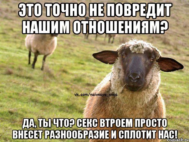 Это точно не повредит нашим отношениям? Да, ты что? Секс втроем просто внесет разнообразие и сплотит нас!, Мем  Наивная Овца