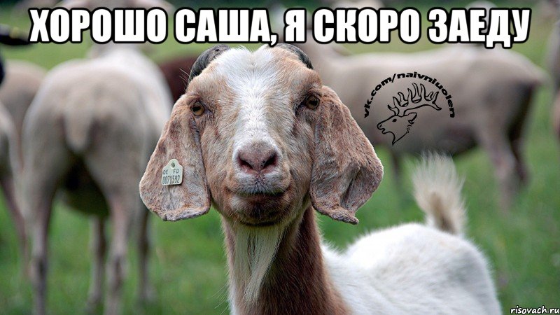 Хорошо Саша, я скоро заеду 