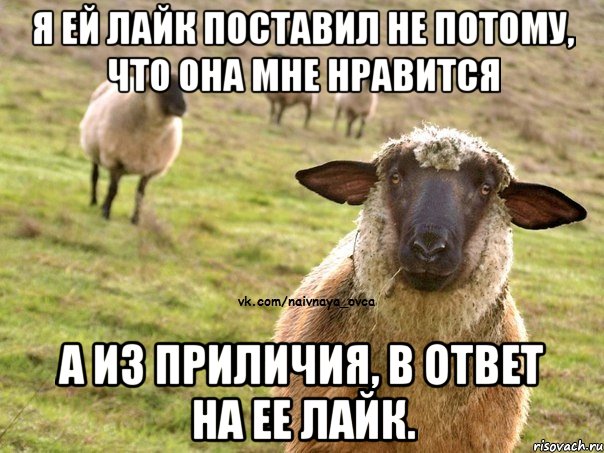 Я ей лайк поставил не потому, что она мне нравится а из приличия, в ответ на ее лайк., Мем  Наивная Овца