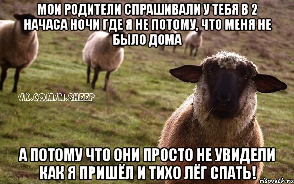 мои родители спрашивали у тебя в 2 начаса ночи где я не потому, что меня не было дома а потому что они просто не увидели как я пришёл и тихо лёг спать!, Мем  Наивная Овца