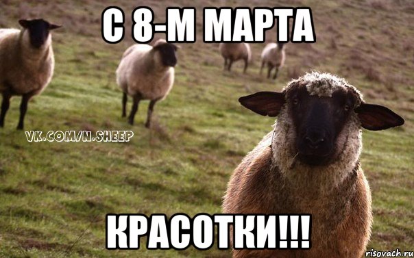 С 8-м марта Красотки!!!, Мем  Наивная Овца