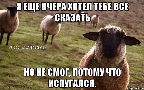 я еще вчера хотел тебе все сказать но не смог, потому что испугался., Мем  Наивная Овца