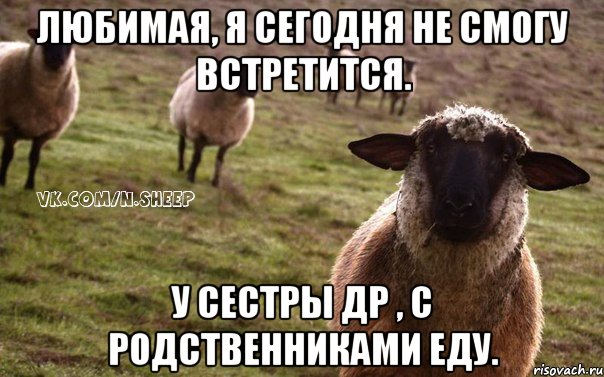 Любимая, я сегодня не смогу встретится. У сестры др , с родственниками еду., Мем  Наивная Овца