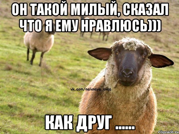 Он такой милый, сказал что я ему нравлюсь))) КАК ДРУГ ......, Мем  Наивная Овца